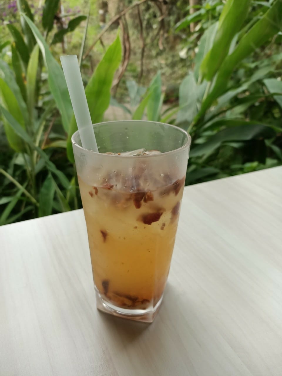 橙香森林-愛拍照別錯過