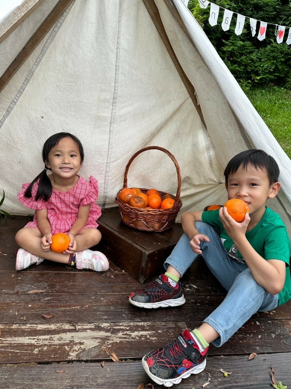 橙香森林-愛拍照別錯過