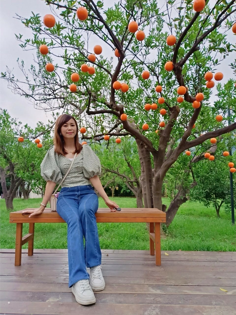 橙香森林-愛拍照別錯過