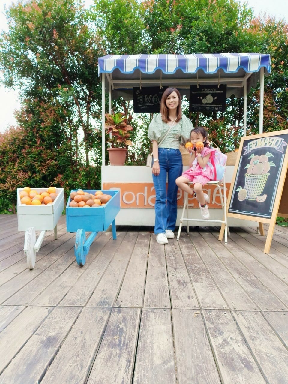 橙香森林-愛拍照別錯過