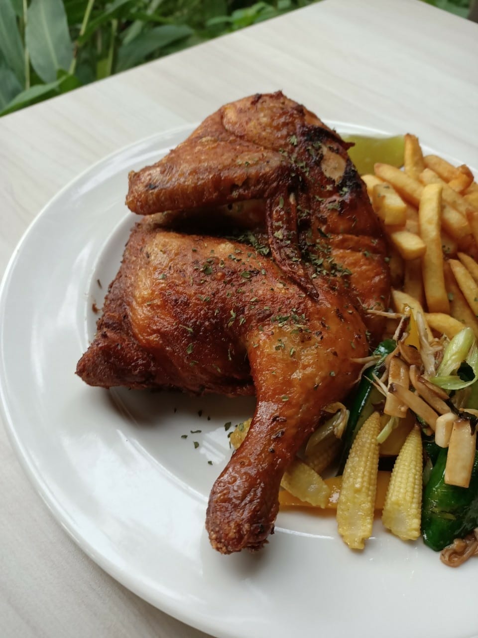 橙香森林-愛拍照別錯過