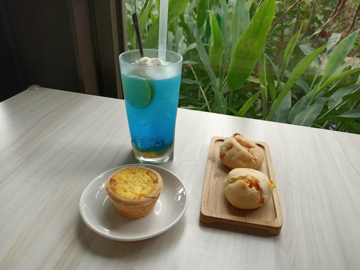 橙香森林-愛拍照別錯過