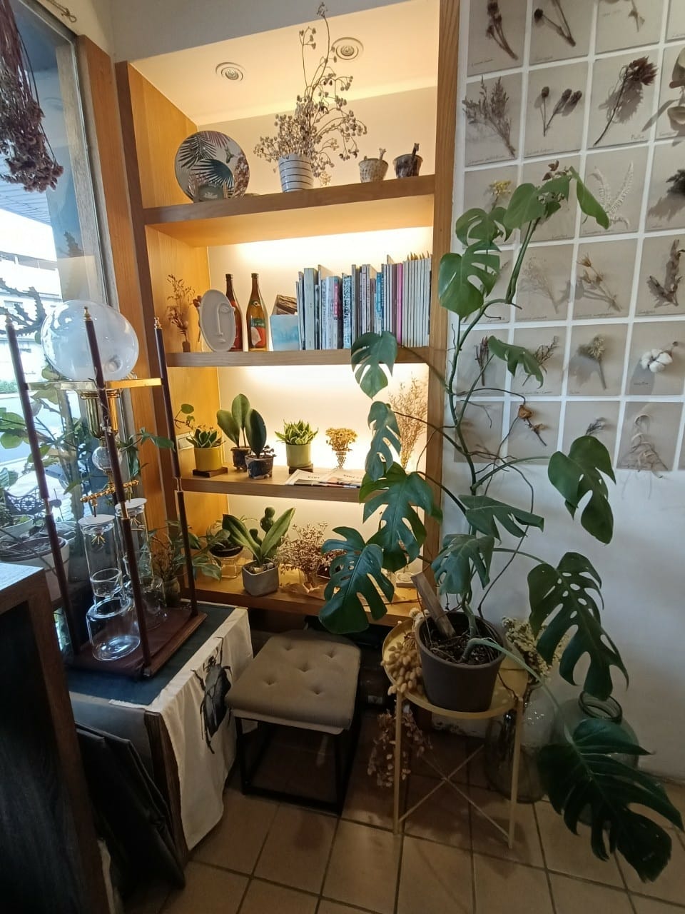 植感咖啡142210021