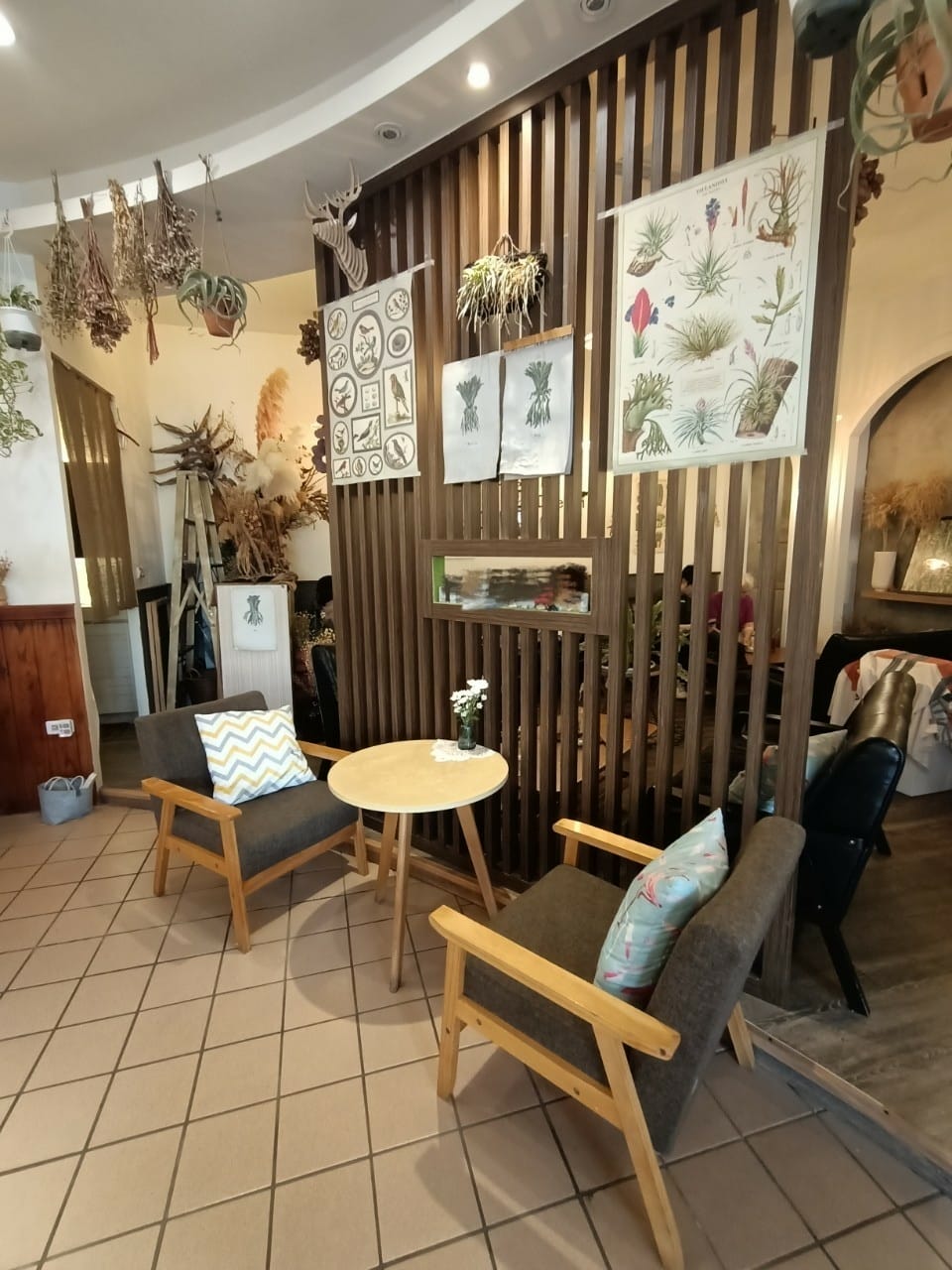 植感咖啡142210021