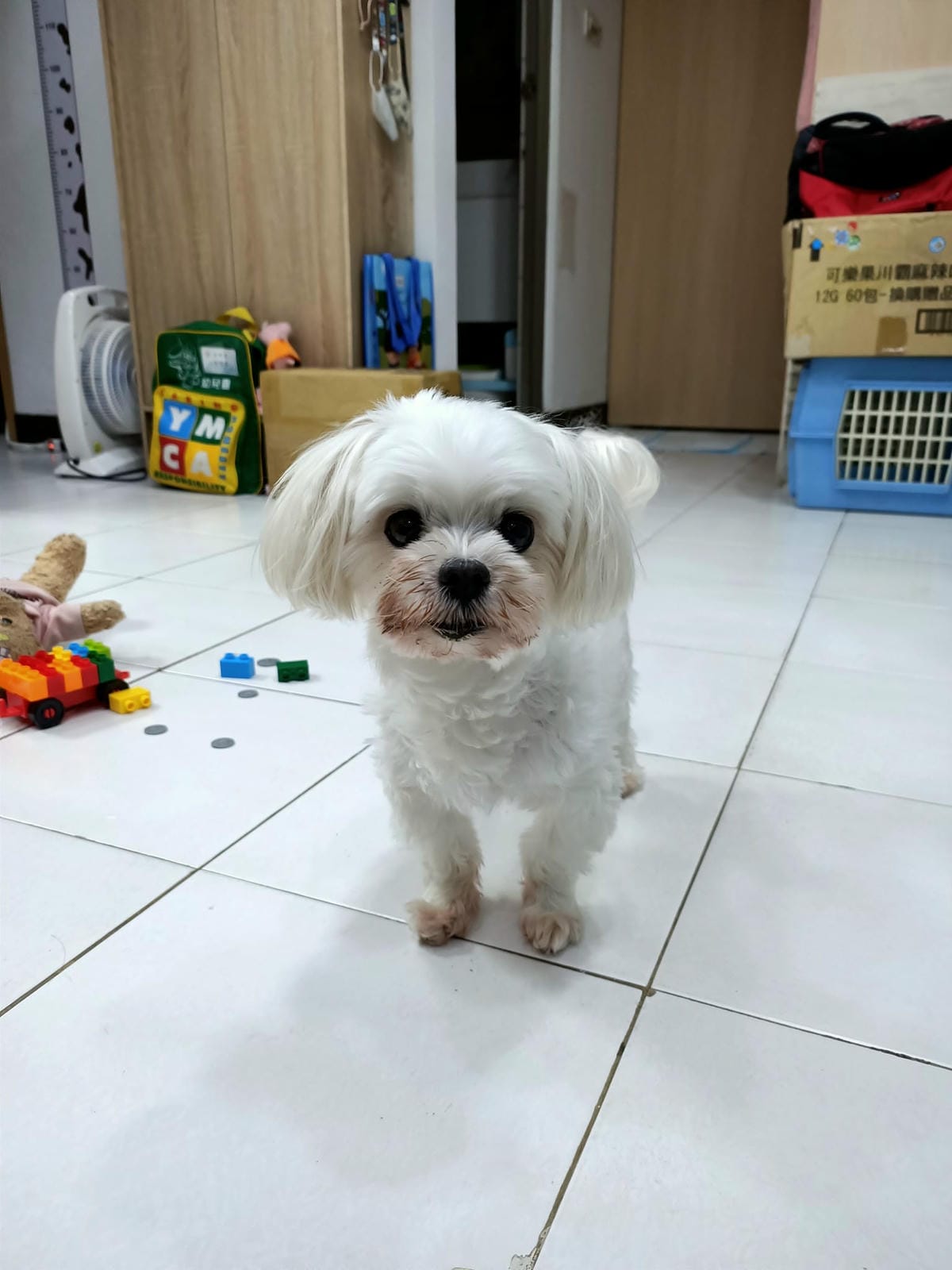 2023年4月~5月,照顧重病小奴奴到當小天使