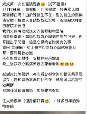 2023年4月~5月,照顧重病小奴奴到當小天使