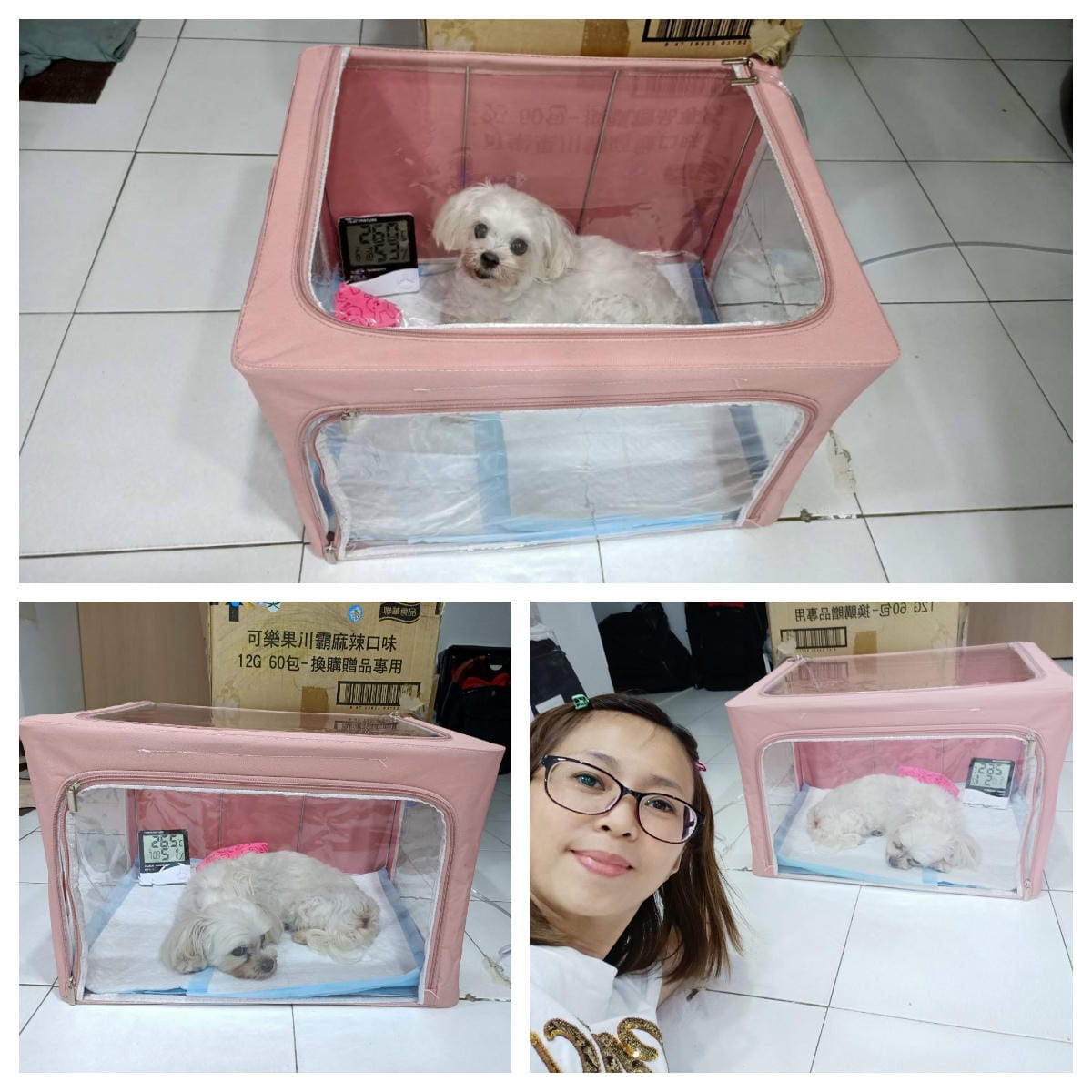 2023年4月~5月,照顧重病小奴奴到當小天使