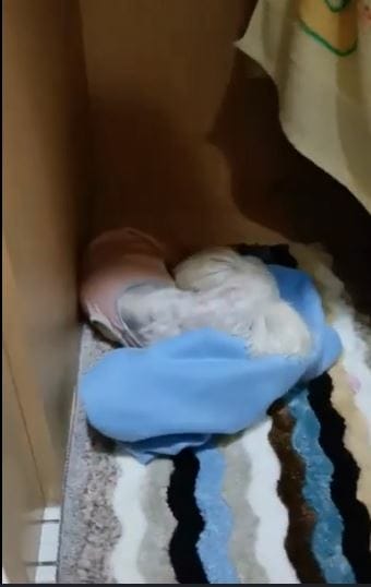 2023年4月~5月,照顧重病小奴奴到當小天使