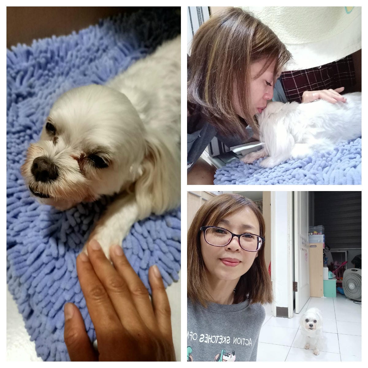 2023年4月~5月,照顧重病小奴奴到當小天使