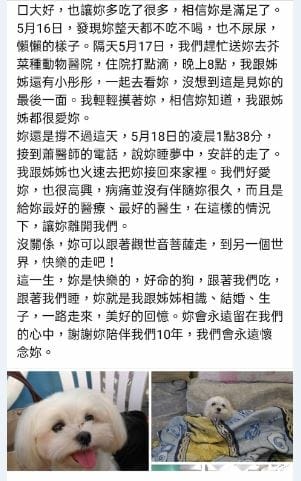 2023年4月~5月,照顧重病小奴奴到當小天使