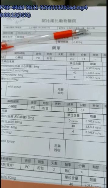 2023年4月~5月,照顧重病小奴奴到當小天使