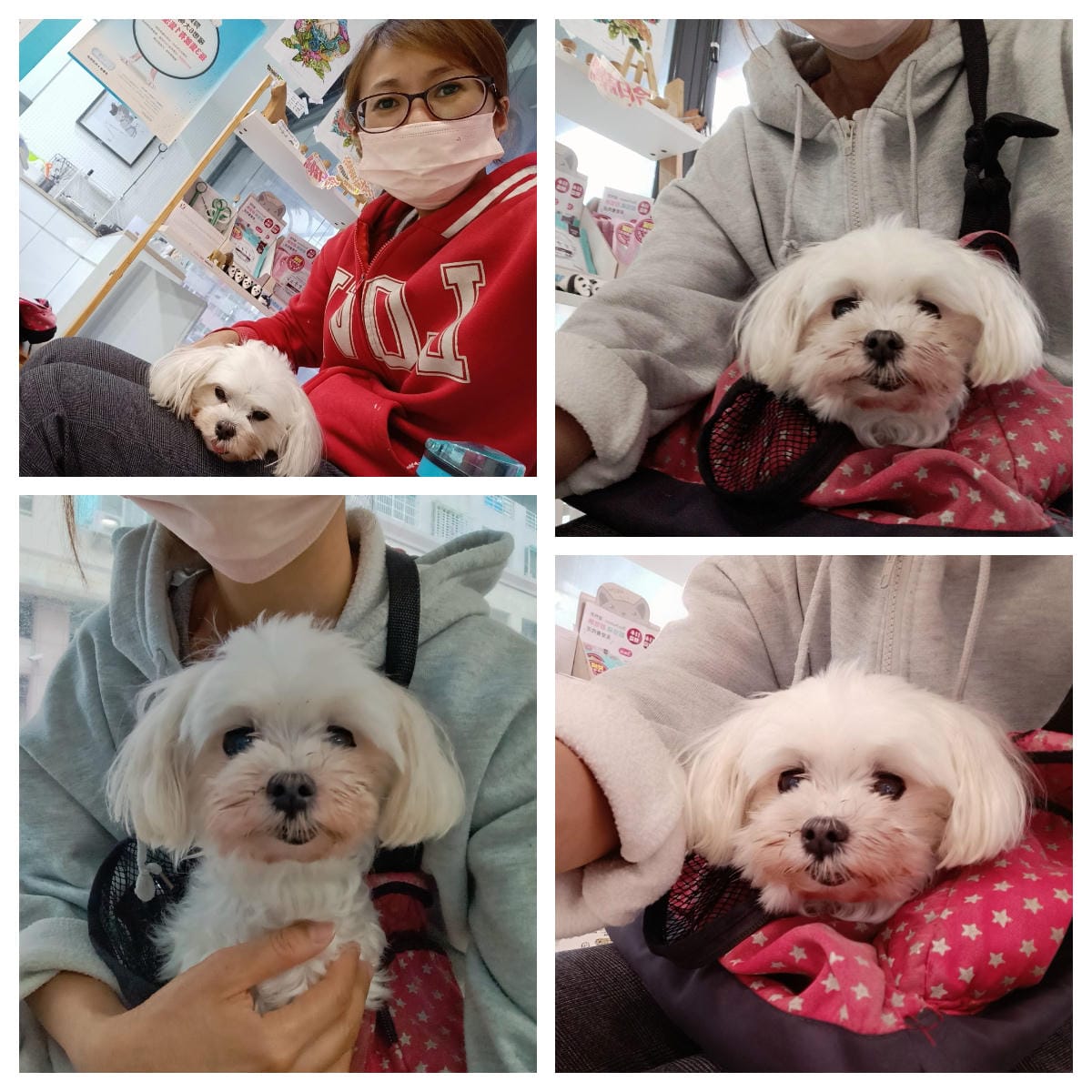 2023年4月~5月,照顧重病小奴奴到當小天使