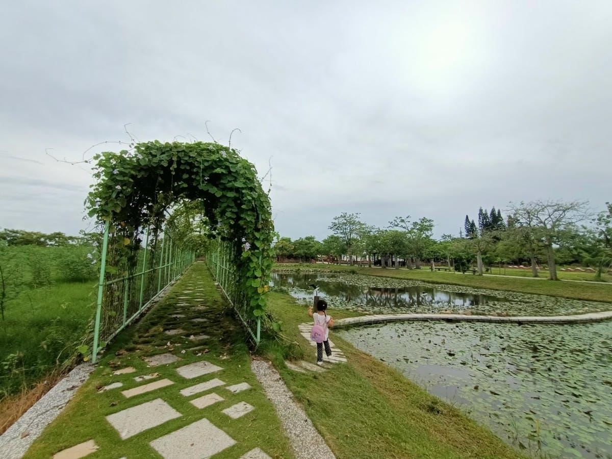 台灣絲路-朝聖時,請留意花季