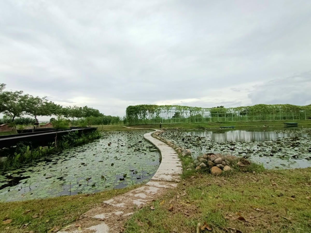 台灣絲路-朝聖時,請留意花季