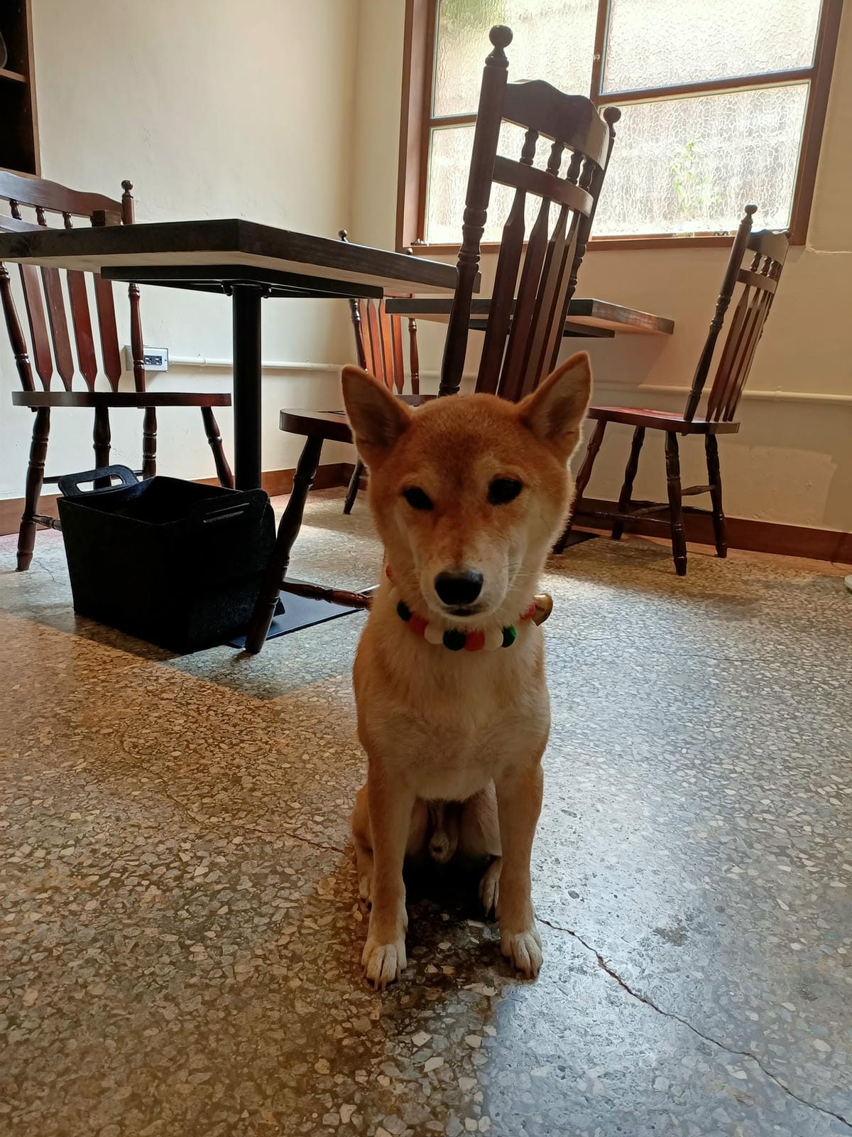 煦 Hsu.s.Shokudo-日式風味餐點,山飯糰好美味