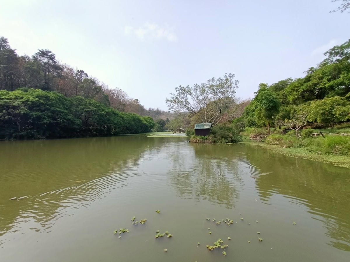 南元農場-親子日