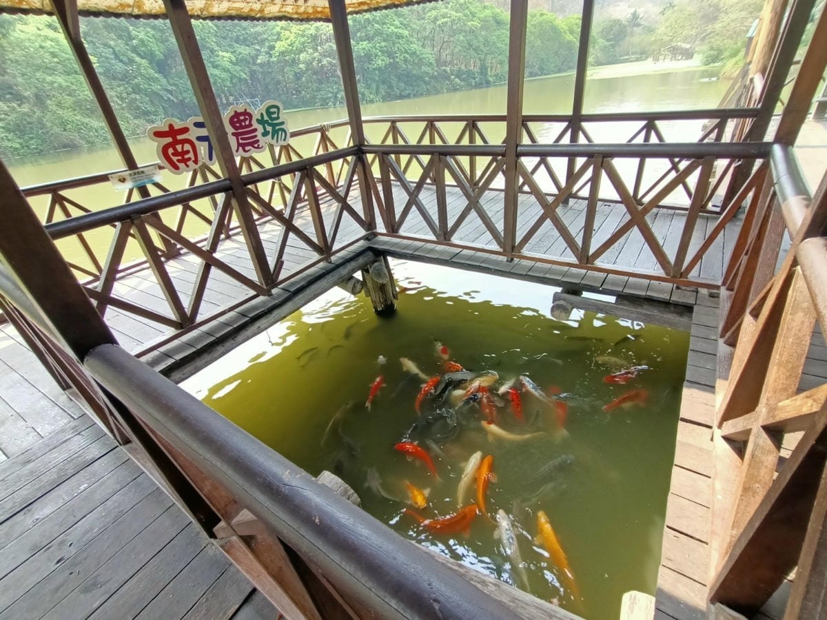 南元農場-親子日