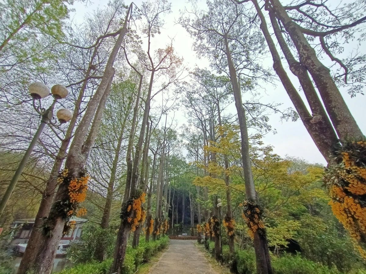 南元農場-親子日