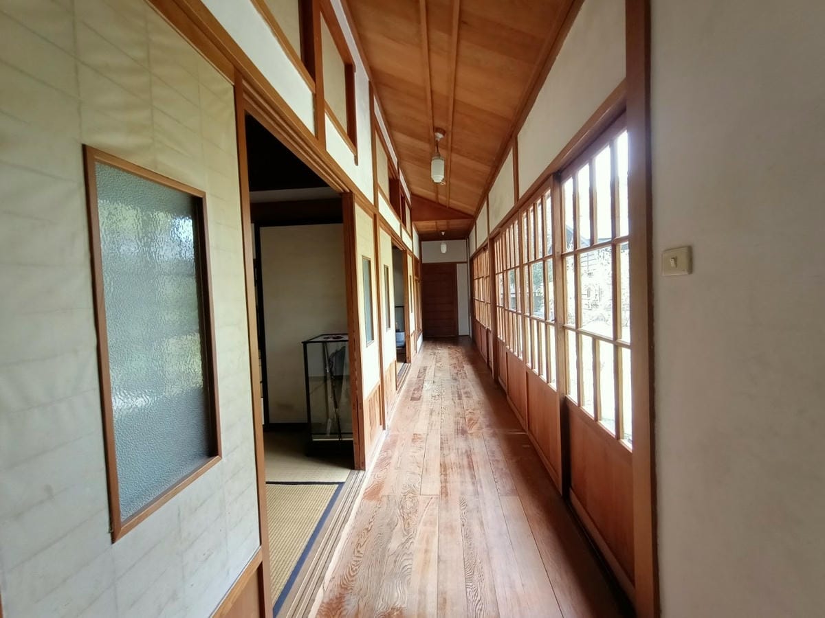 真天雨一25100202