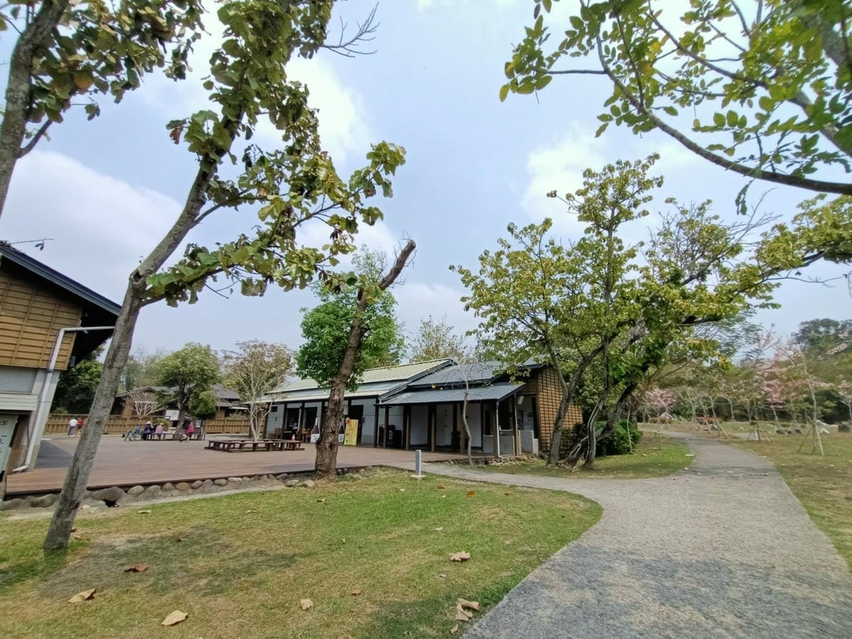 真天雨一25100202