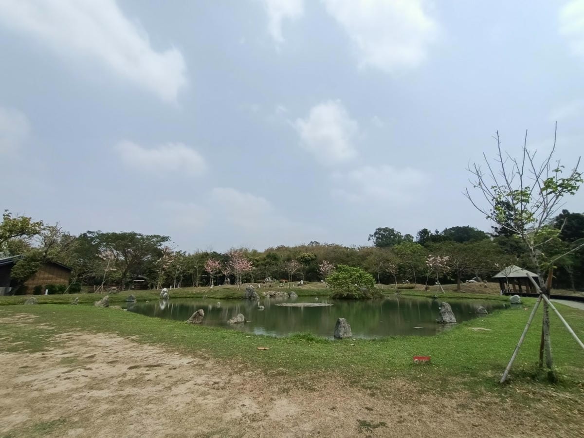 真天雨一25100202