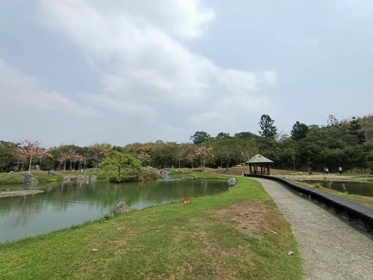 真天雨一25100202