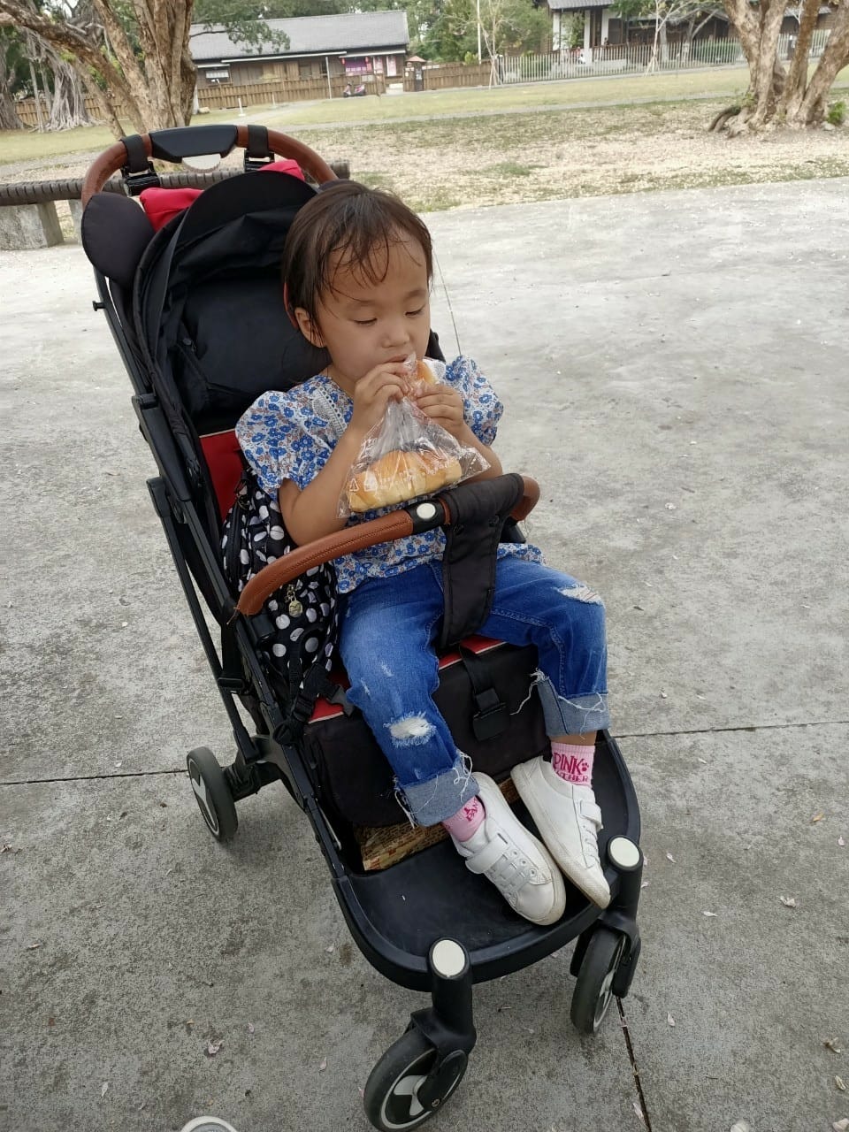 真天雨一25100202