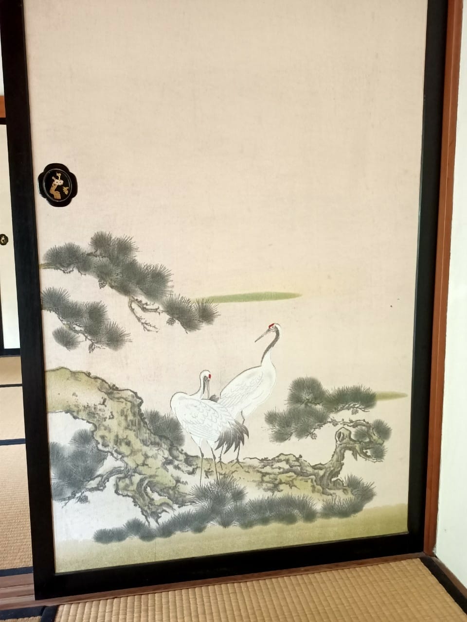 真天雨一25100202