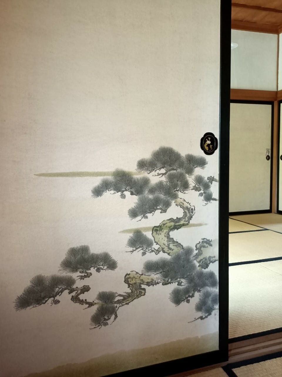 真天雨一25100202