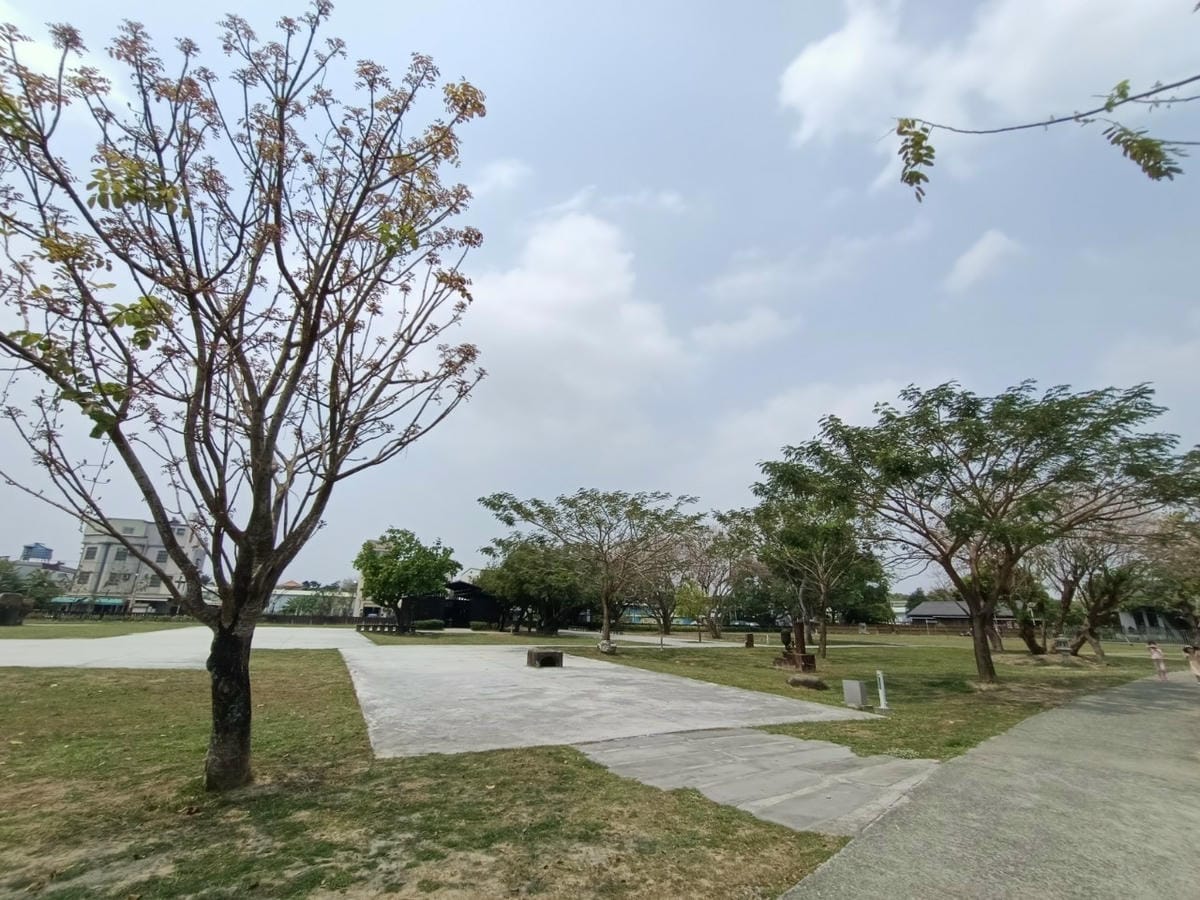 真天雨一25100202