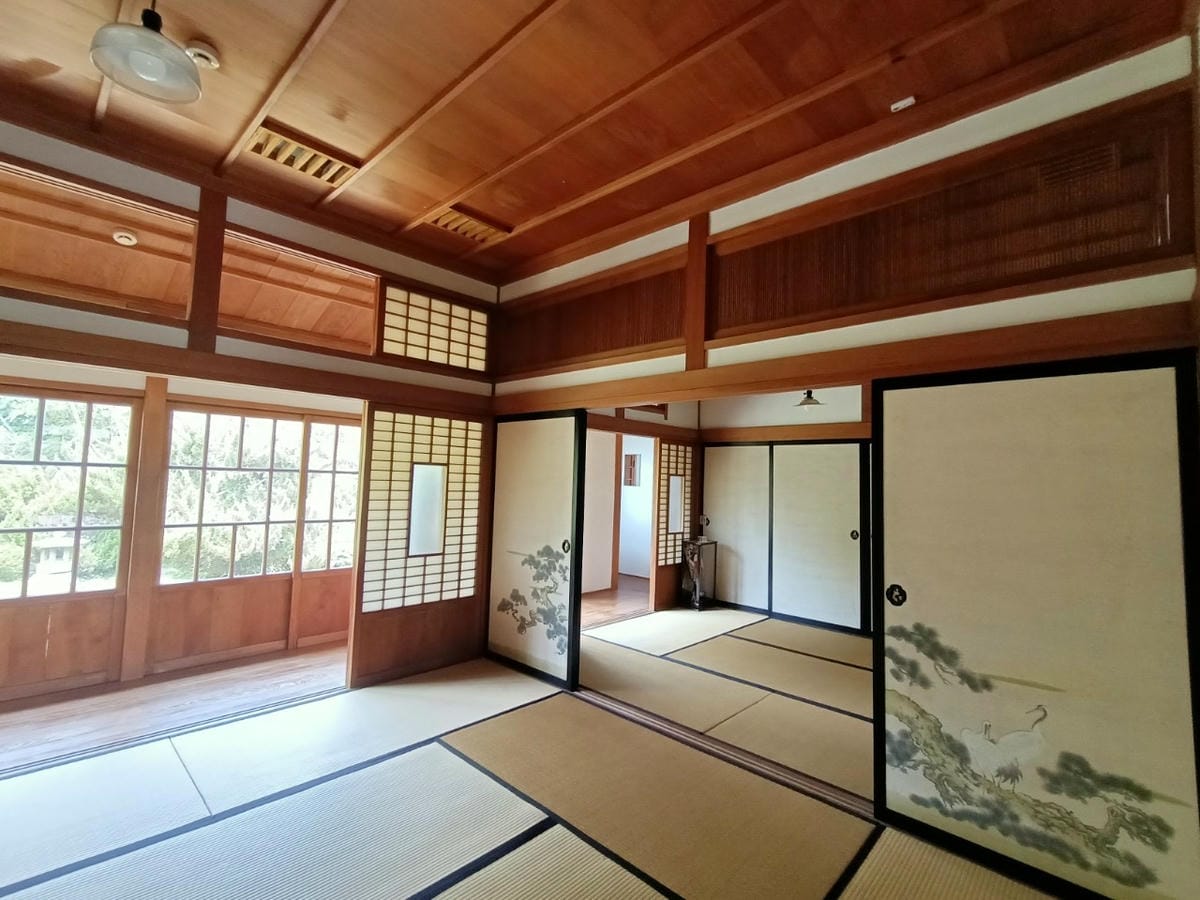 真天雨一25100202