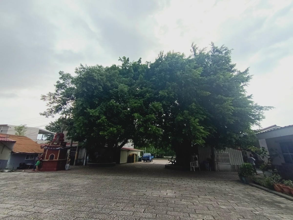 行動城堡二館-幸福芒果冰-幸福的美好