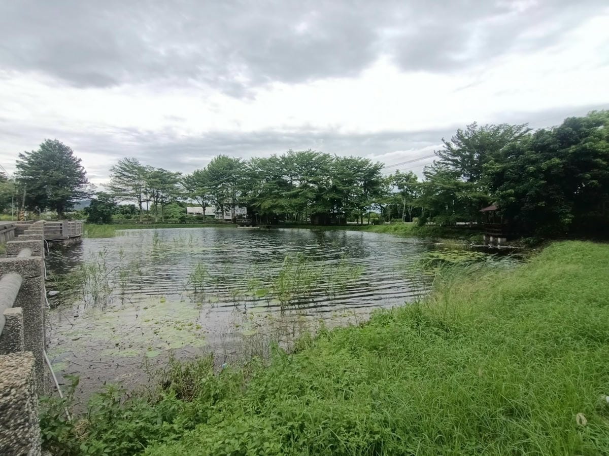 行動城堡二館-幸福芒果冰-幸福的美好