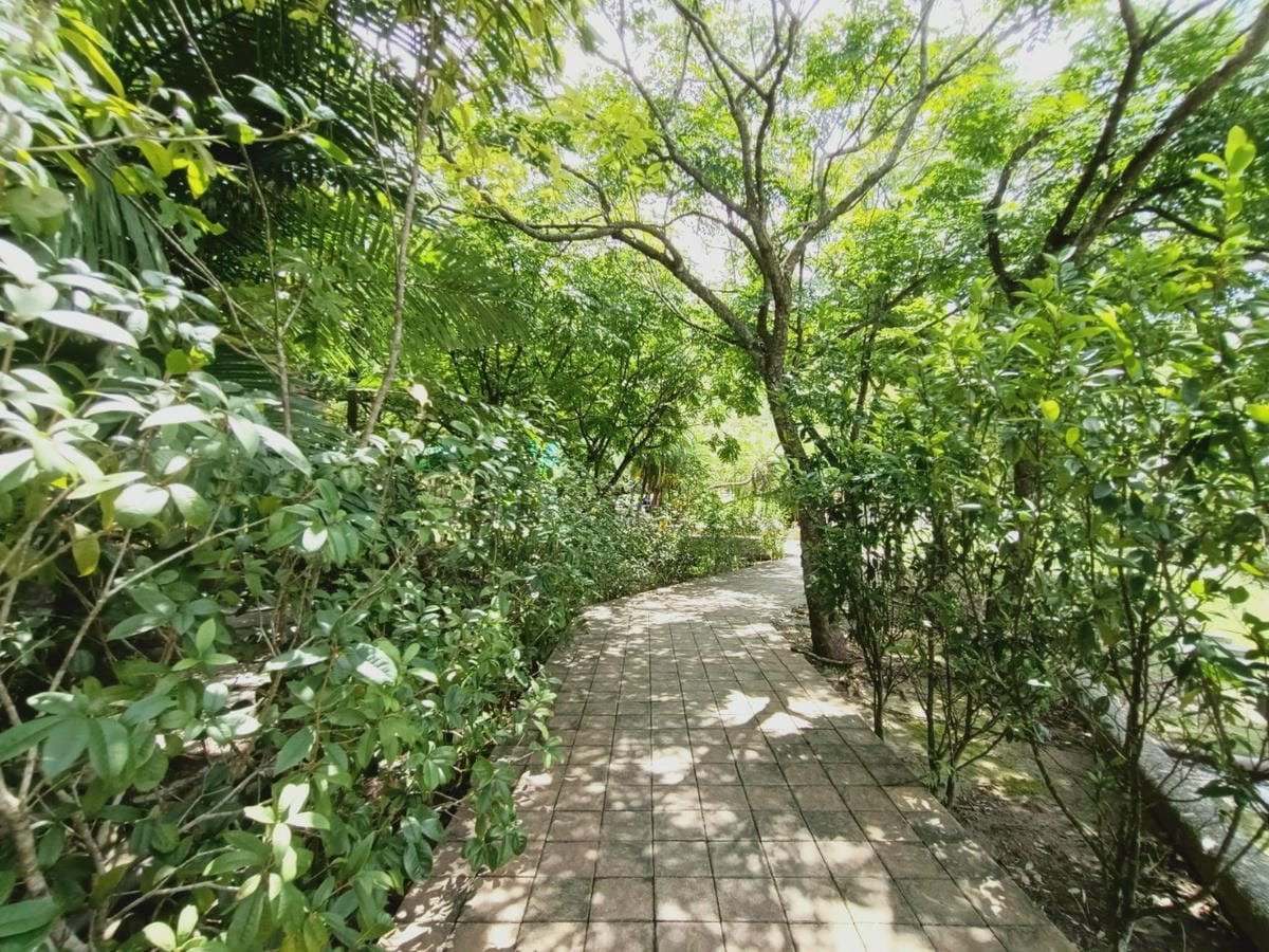 龜丹溫泉體驗池-泡腳好去處