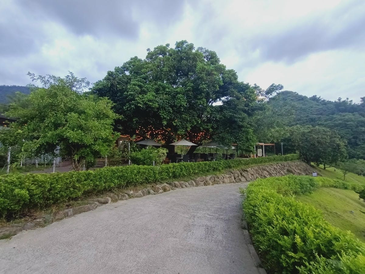 六二溫泉山房-悠閒放空好地方