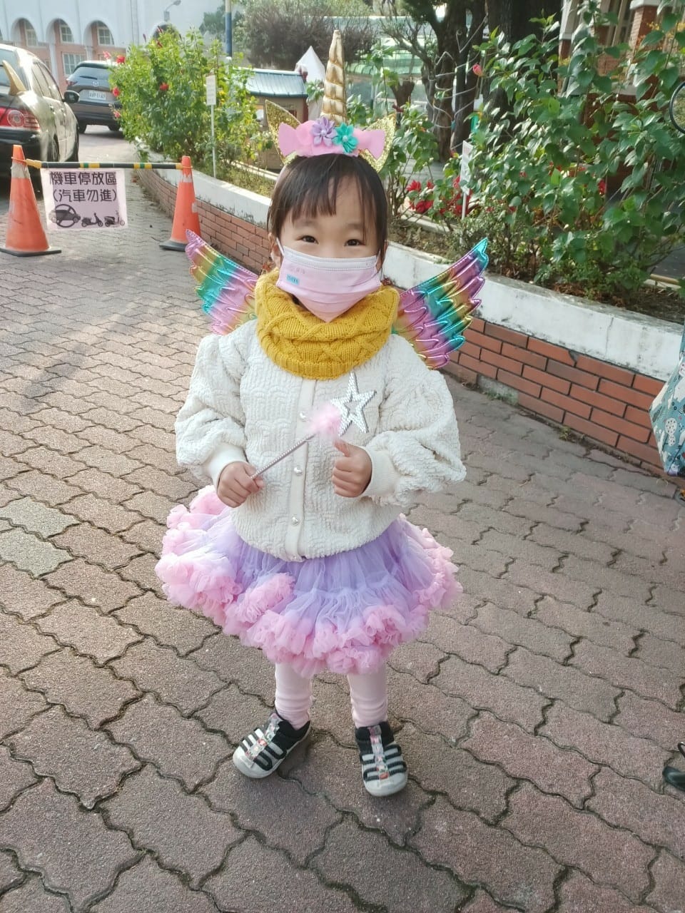 歡樂氣氛聖誕趴-朋友家聚&彤彤學校活動10221021020