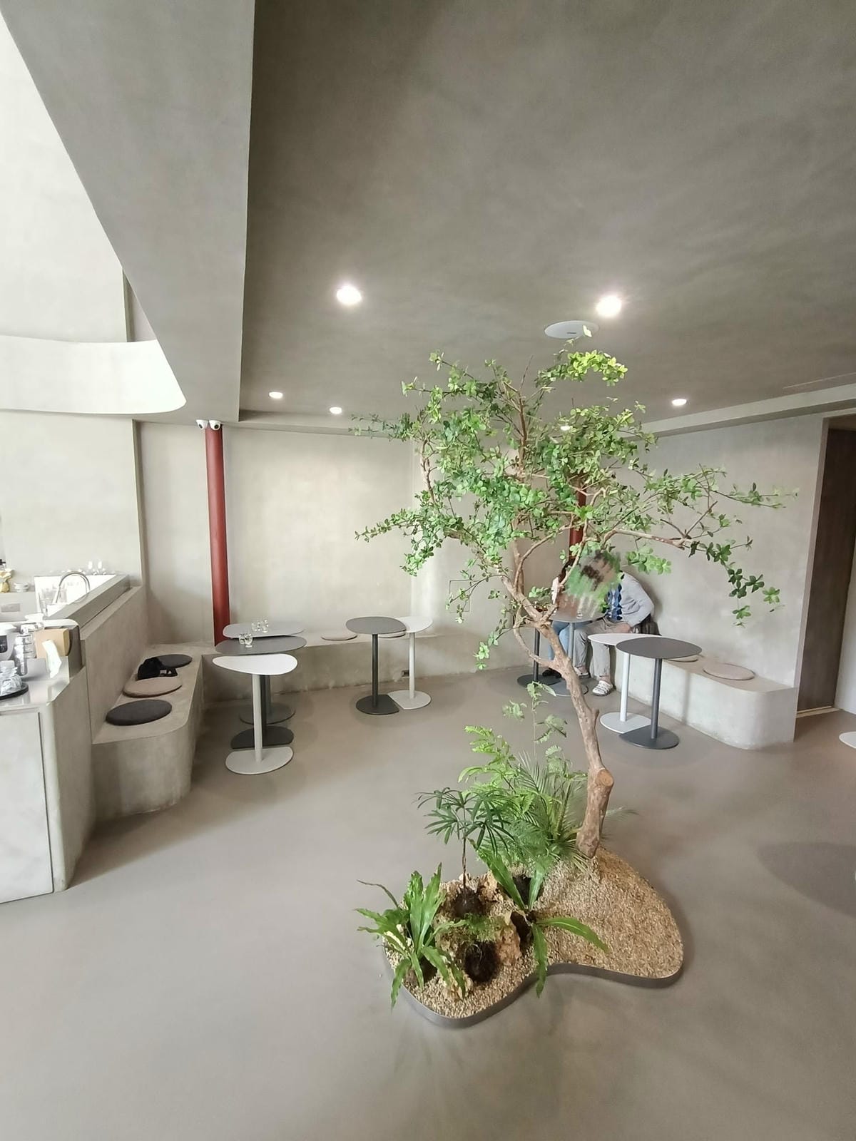 娟夫人020202 娟夫人020202