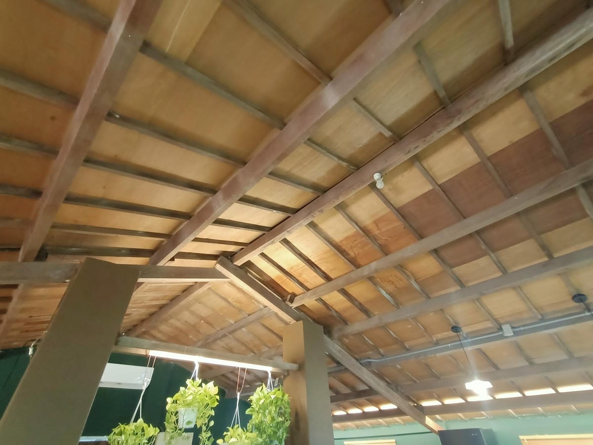 小鷺咖啡-來七股必推 小鷺咖啡-來七股必推