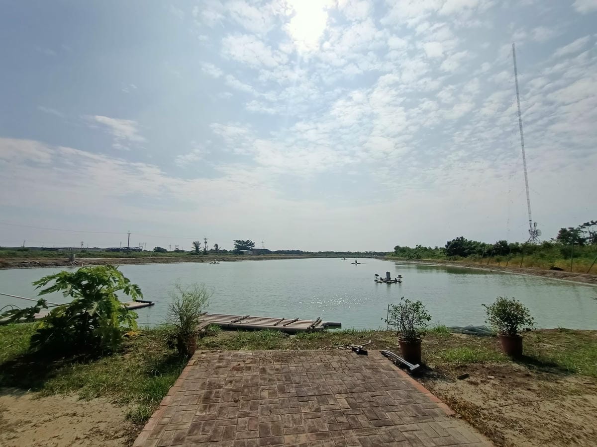 小鷺咖啡-來七股必推 小鷺咖啡-來七股必推