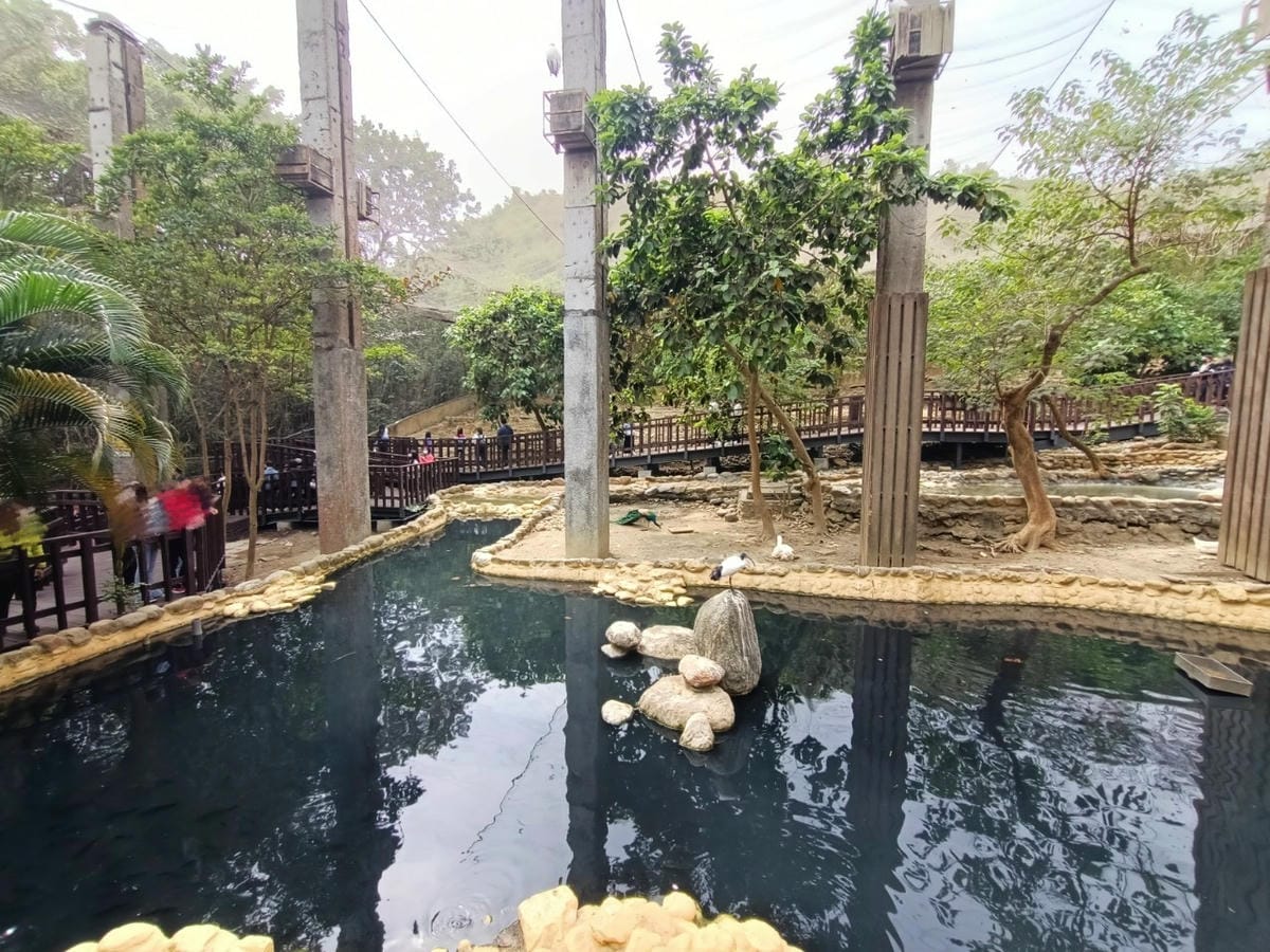 壽山動物園-適合帶孩子來走走