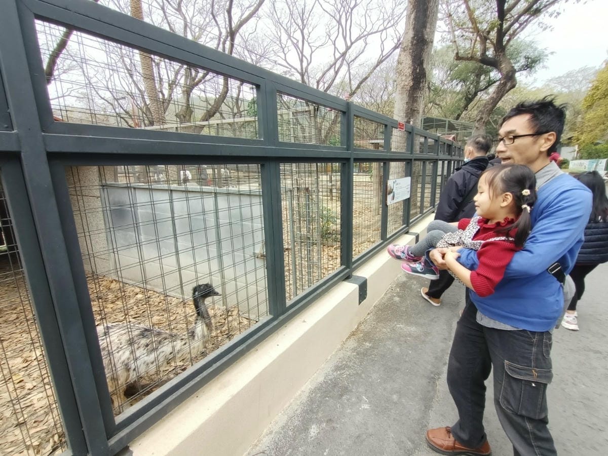 壽山動物園-適合帶孩子來走走