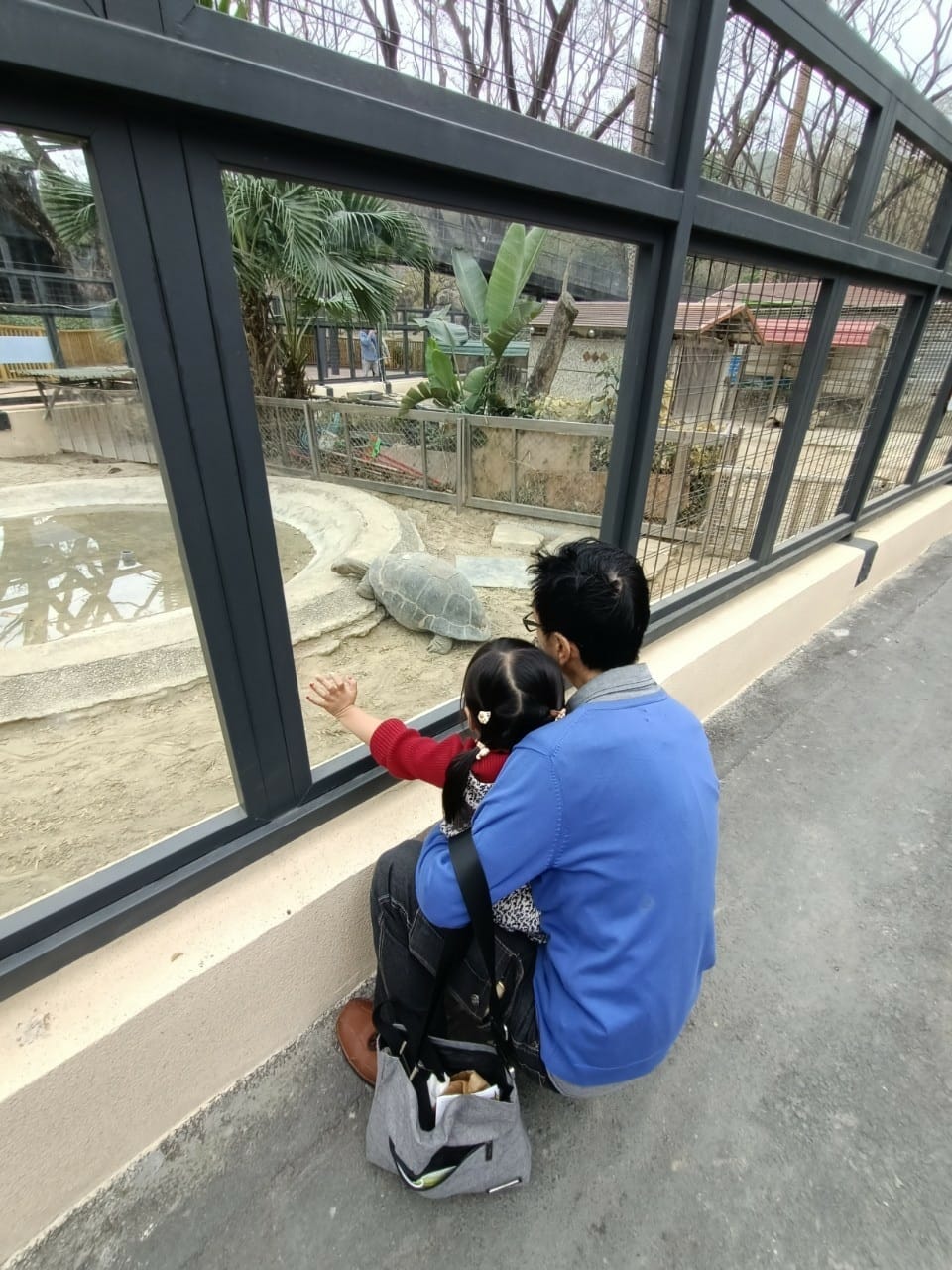 壽山動物園-適合帶孩子來走走