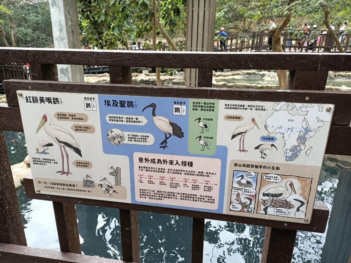 壽山動物園-適合帶孩子來走走