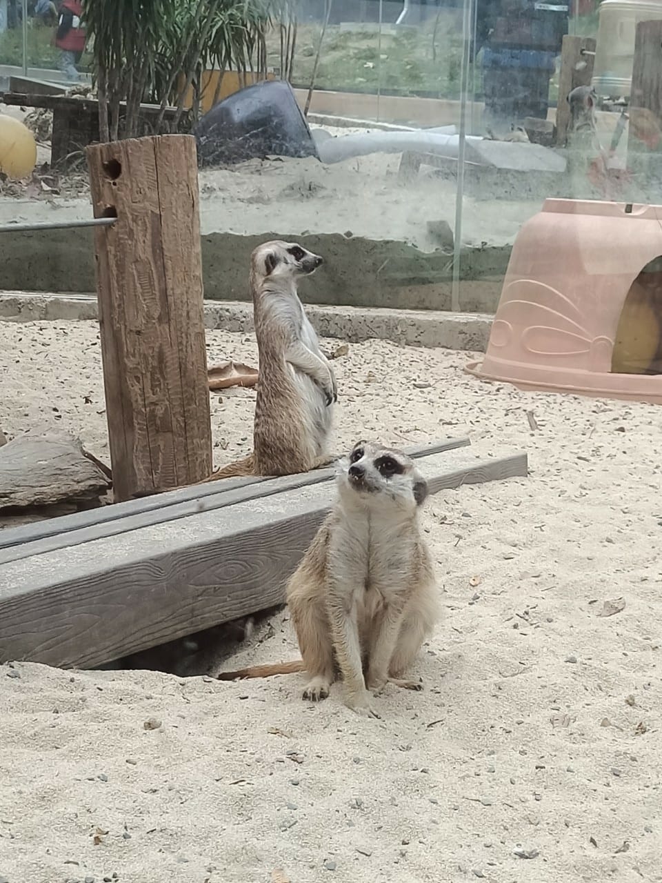 壽山動物園-適合帶孩子來走走