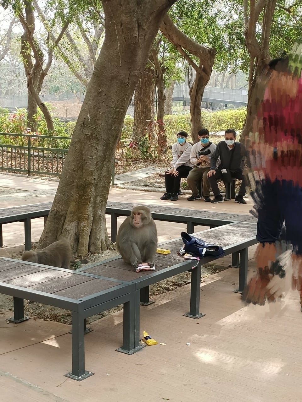 壽山動物園-適合帶孩子來走走