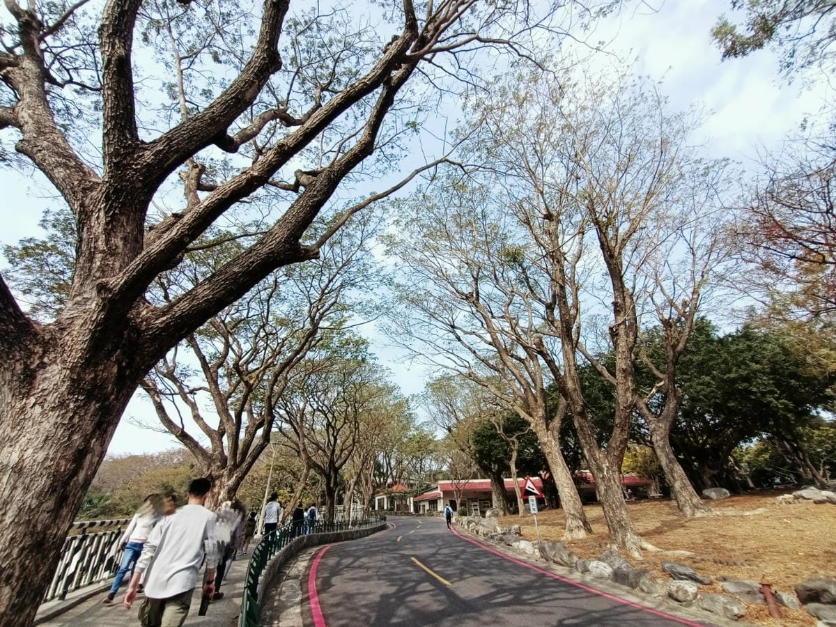 壽山動物園-適合帶孩子來走走