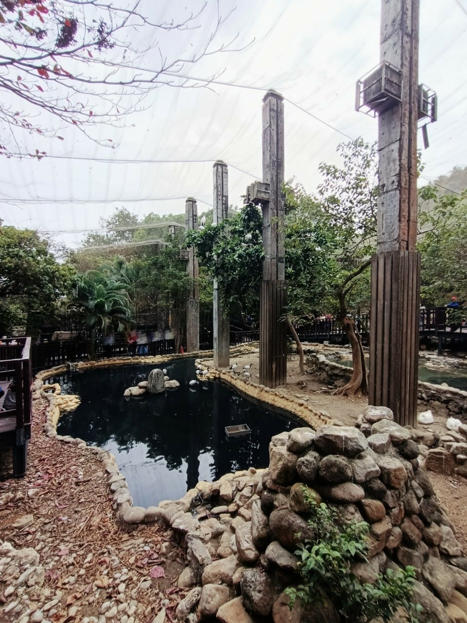 壽山動物園-適合帶孩子來走走