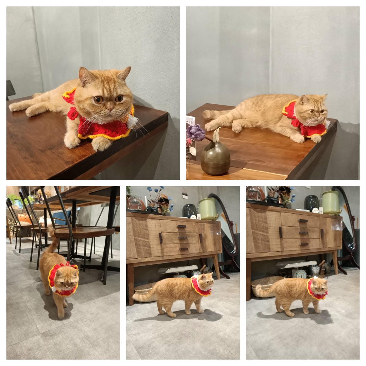 植佐咖啡花室 Zhi Zuo Floral cafe5221