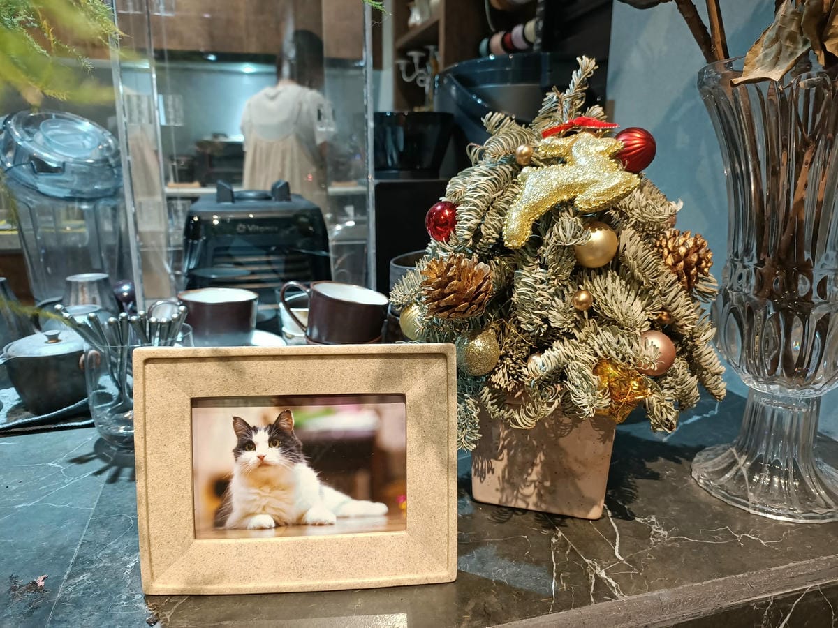 植佐咖啡花室 Zhi Zuo Floral cafe5221