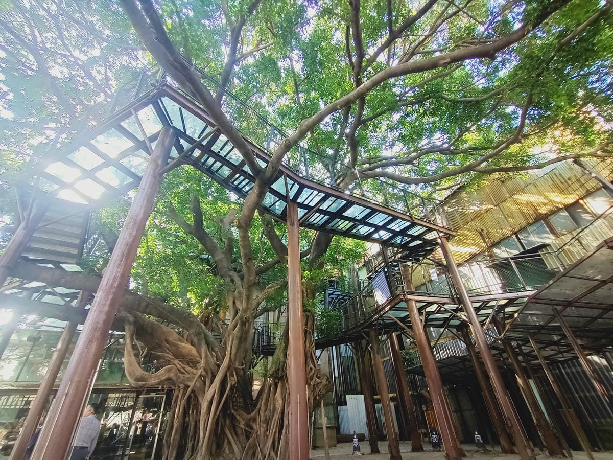 十鼓文創園區-喜愛極限遊樂設施別錯過!!!很好玩!!!